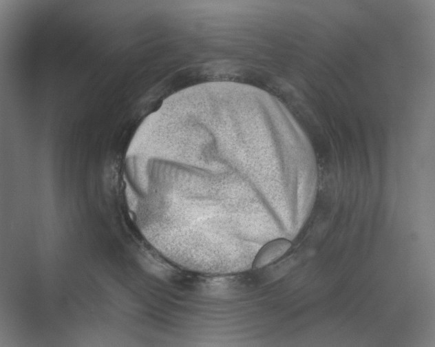 X0000069800382200606021445