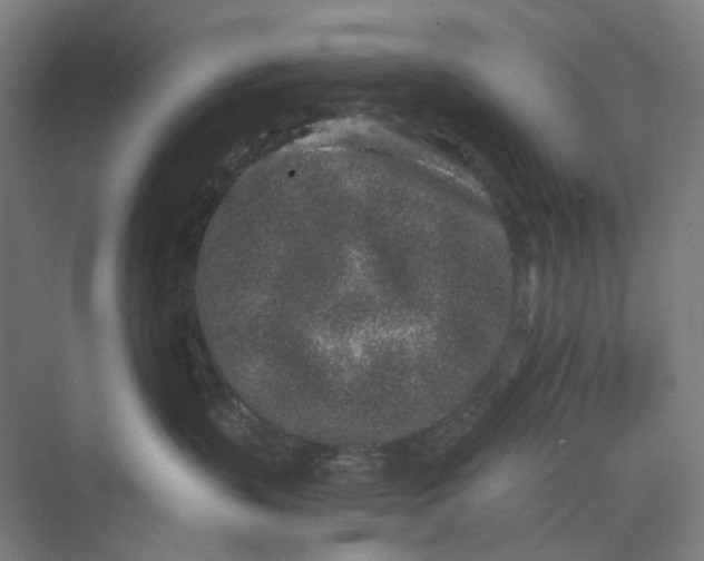 X0000069800383200606021445