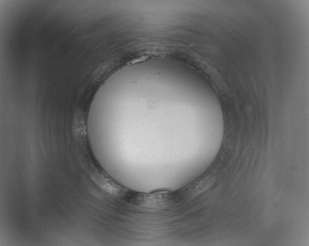 X0000069800384200606021445