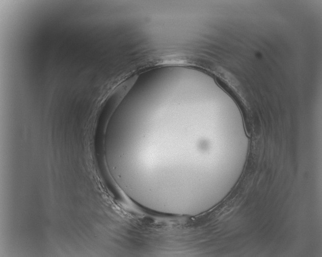 X0000069800385200606021445