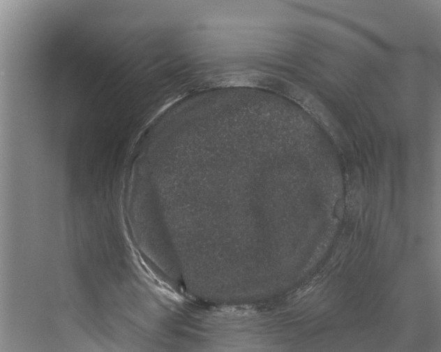 X0000069800386200606021445