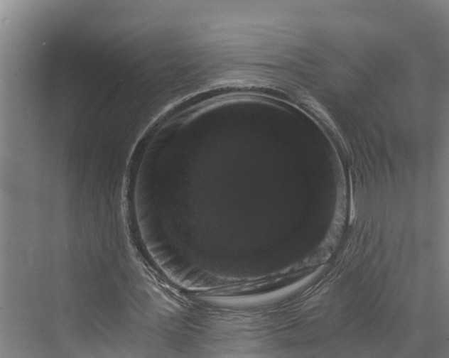 X0000069800387200606021445