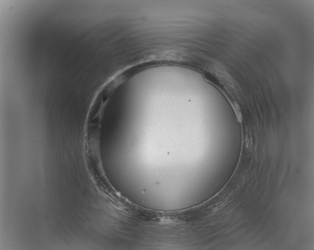 X0000069800388200606021445