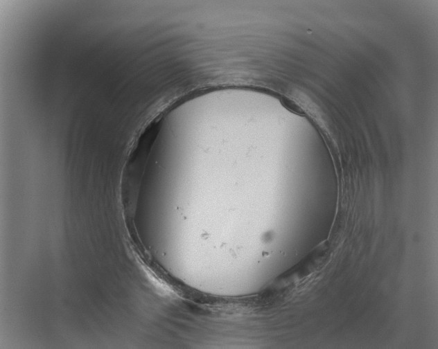 X0000069800389200606021445