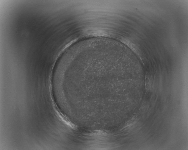 X0000069800390200606021445