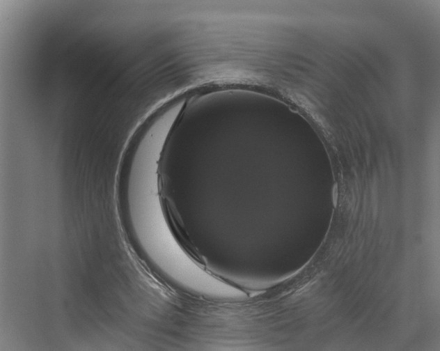 X0000069800391200606021445