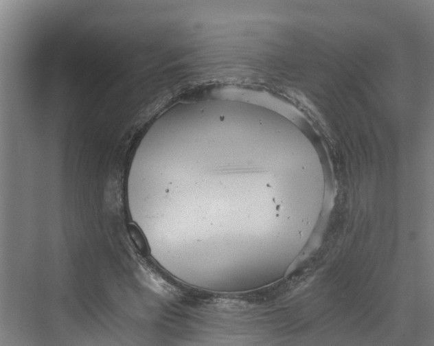 X0000069800393200606021445