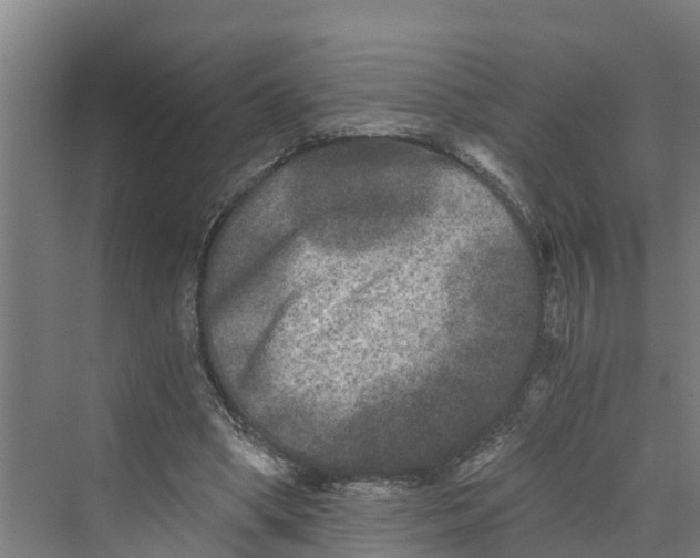 X0000069800394200606021445