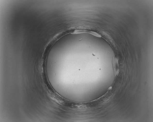 X0000069800395200606021445