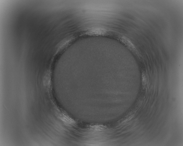 X0000069800396200606021445