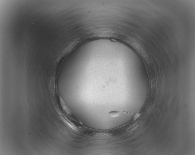 X0000069800397200606021444