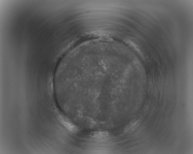 X0000069800398200606021444