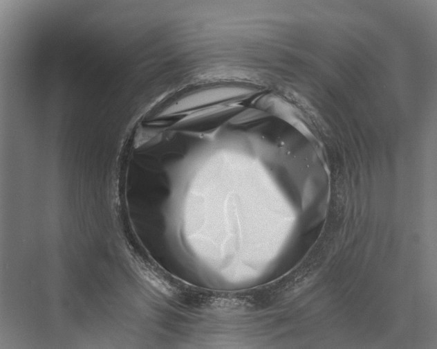 X0000069800399200606021444