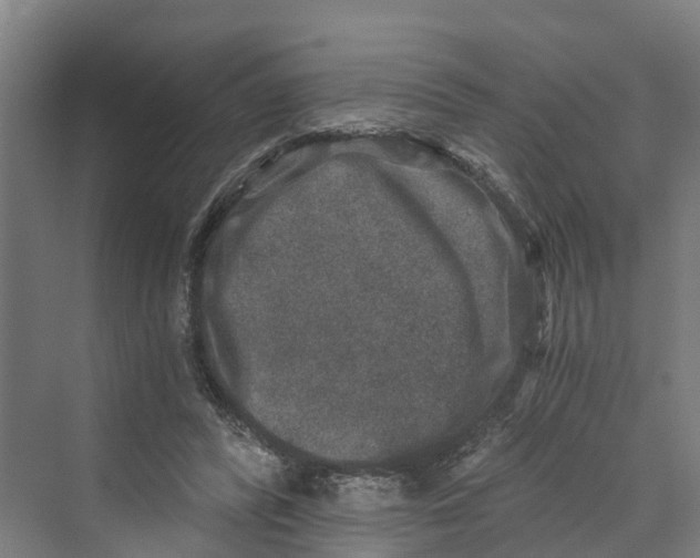 X0000069800400200606021444