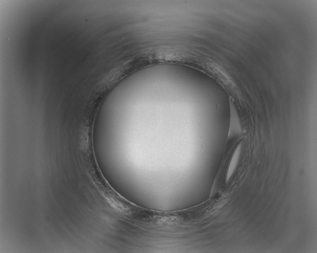 X0000069800401200606021444