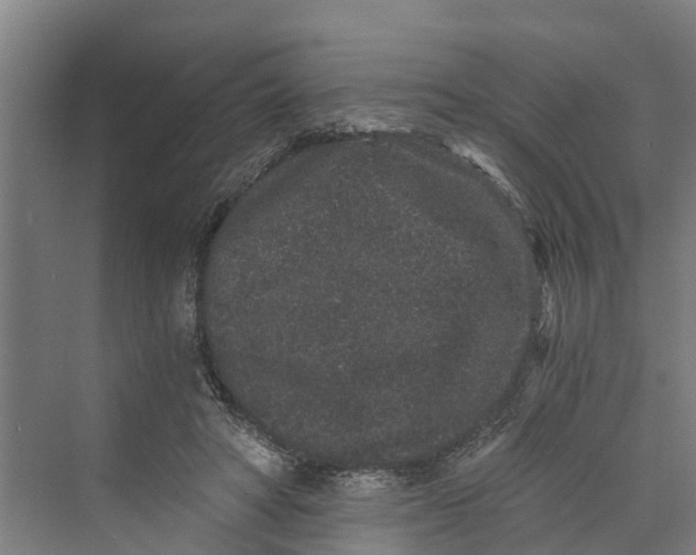 X0000069800402200606021444