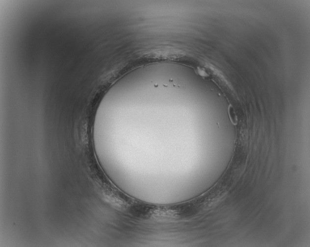 X0000069800403200606021444