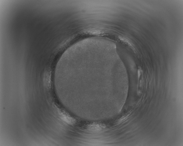 X0000069800404200606021444