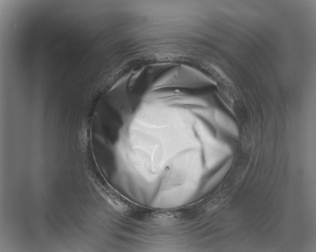 X0000069800405200606021444