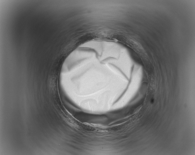 X0000069800409200606021444