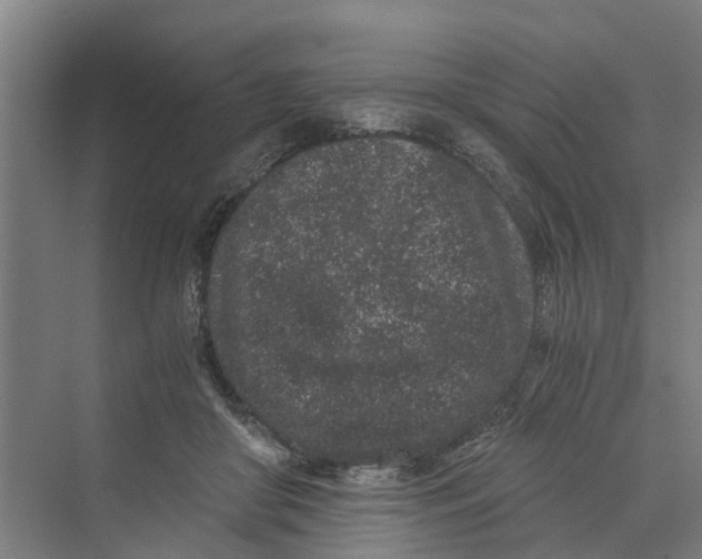 X0000069800410200606021444