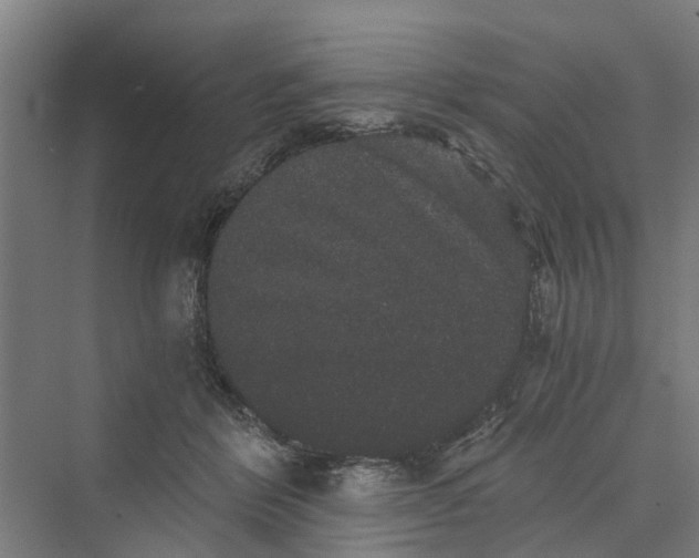 X0000069800412200606021444