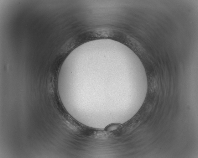 X0000069800414200606021444