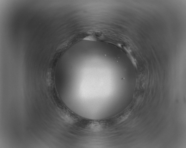 X0000069800416200606021444