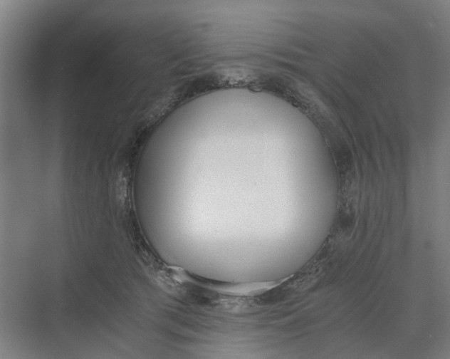 X0000069800417200606021444