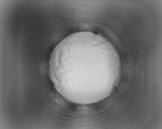 X0000069800419200606021444