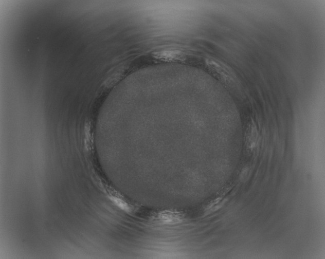 X0000069800420200606021444