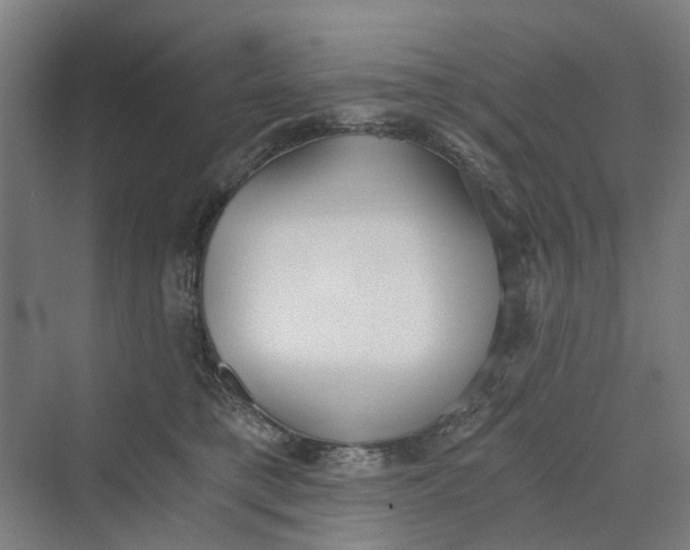 X0000069800421200606021444