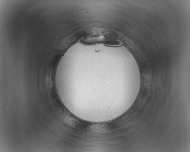 X0000069800422200606021444