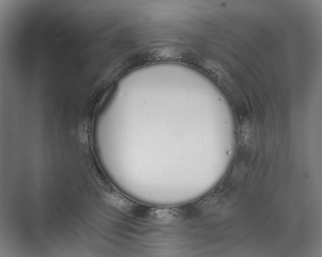 X0000069800423200606021444