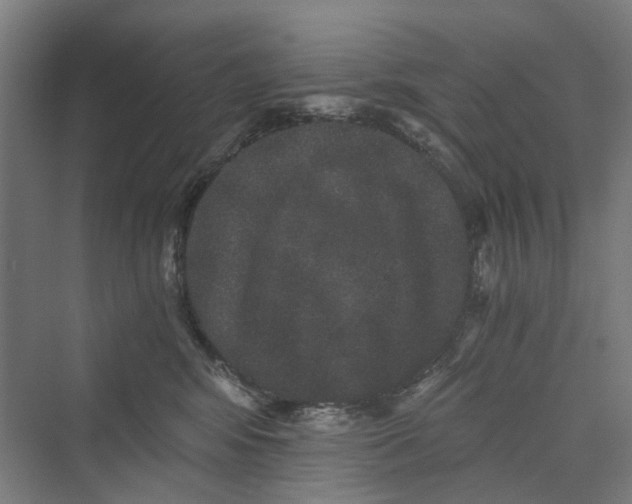 X0000069800424200606021444