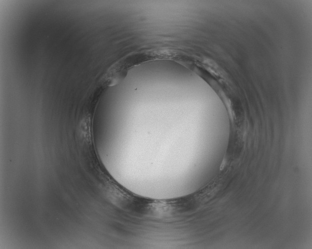 X0000069800425200606021444