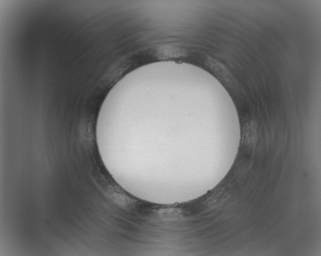 X0000069800426200606021444