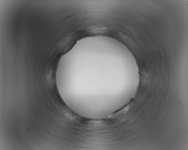 X0000069800428200606021444