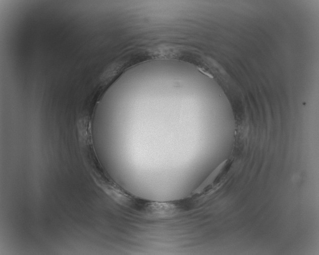 X0000069800429200606021444