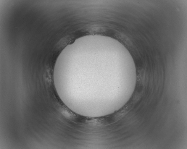 X0000069800430200606021444