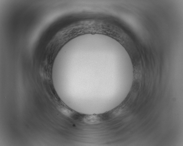 X0000069800431200606021444