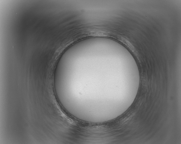 X0000069800433200606021443