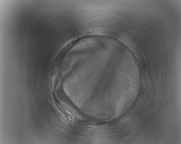 X0000069800434200606021443