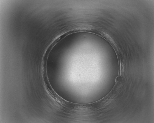 X0000069800435200606021443