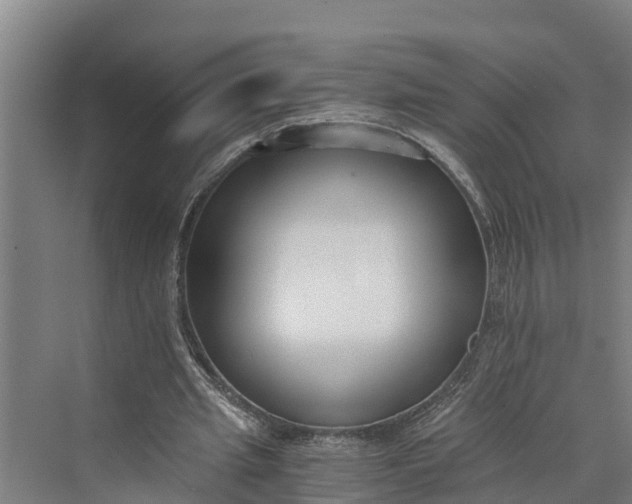 X0000069800437200606021443