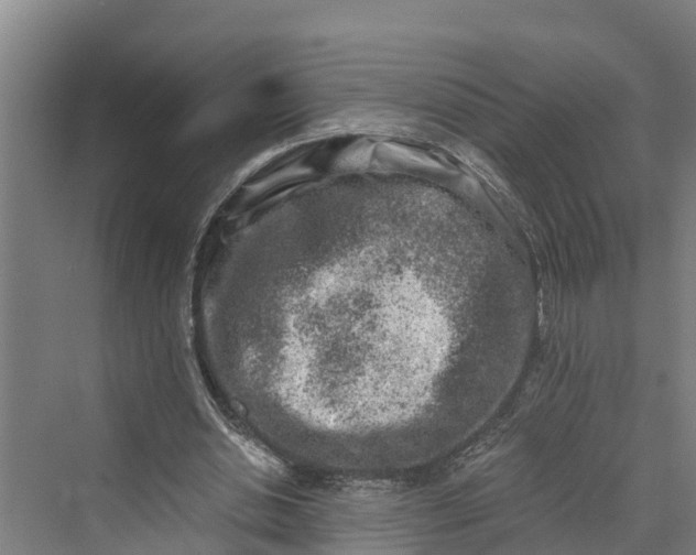 X0000069800438200606021443