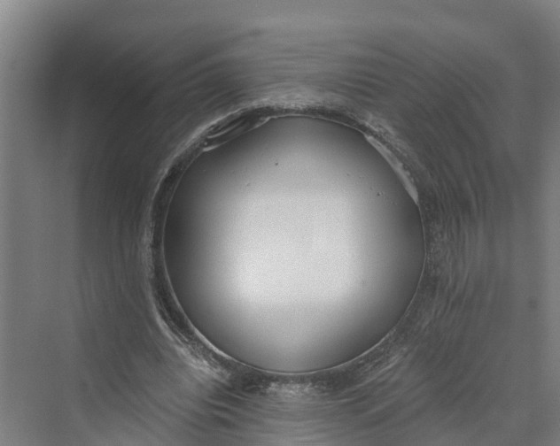 X0000069800440200606021443