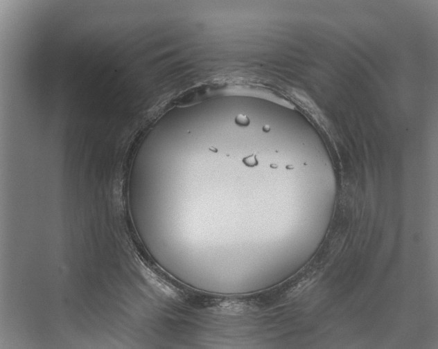 X0000069800441200606021443