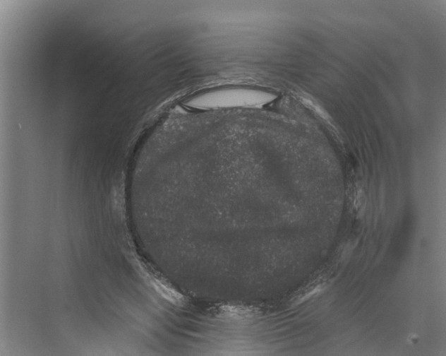 X0000069800442200606021443