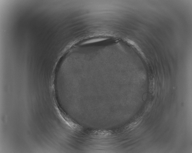 X0000069800443200606021443